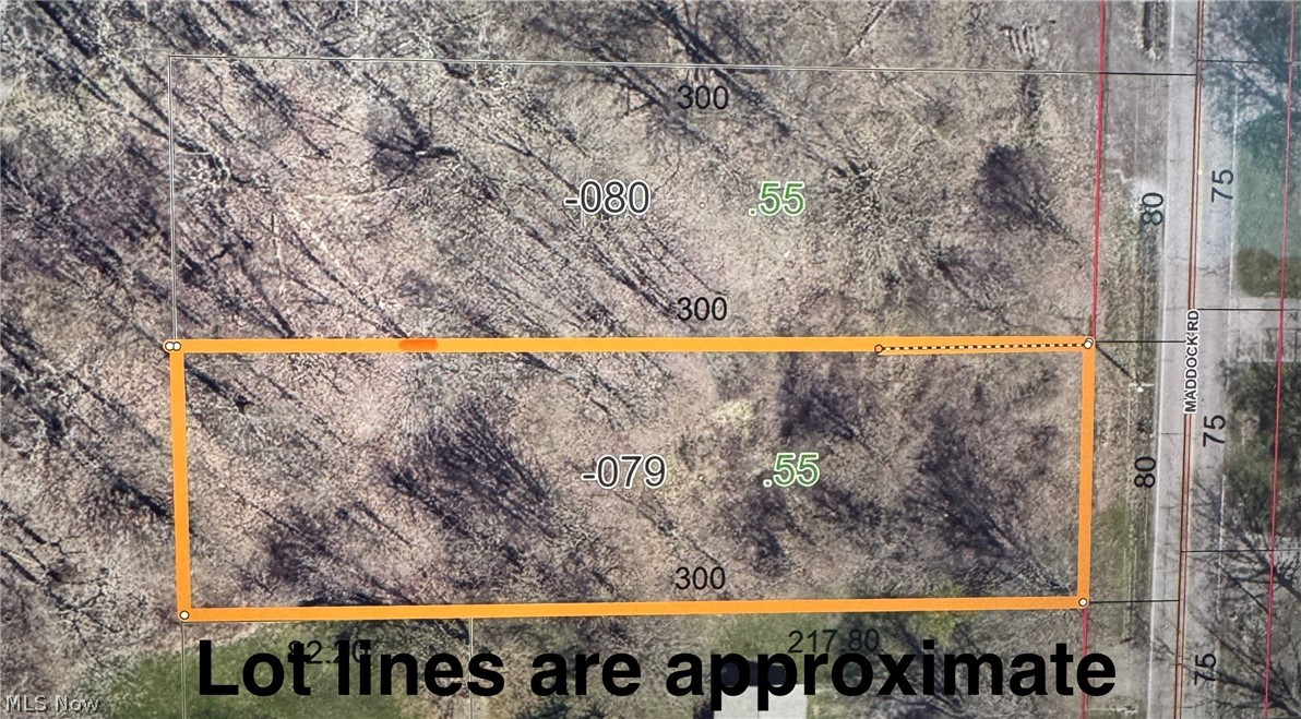 Lot B Maddock Road, North Ridgeville, OH 44039