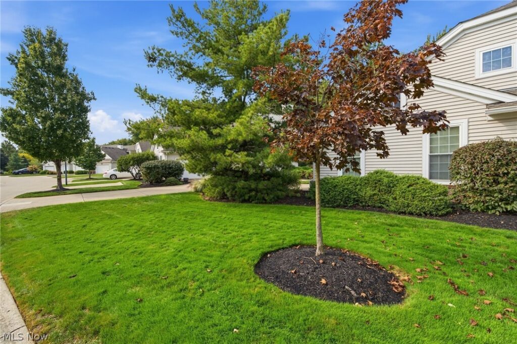 Property View 3
